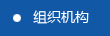 組織結(jié)構(gòu)